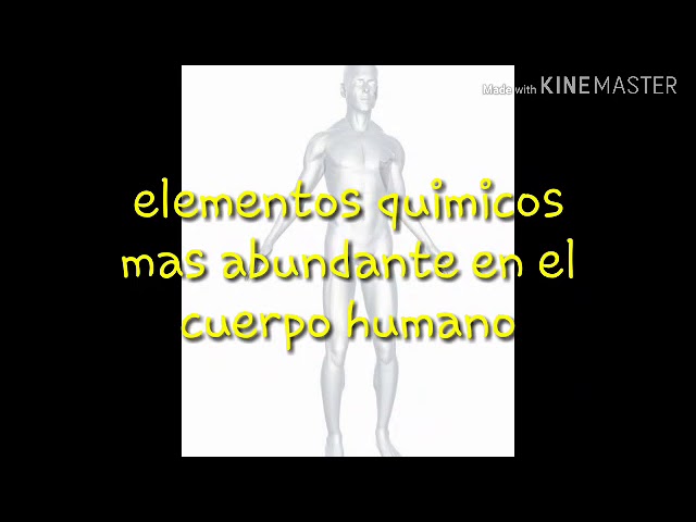 cuales son los elementos quimicos mas abundantes en los seres vivos