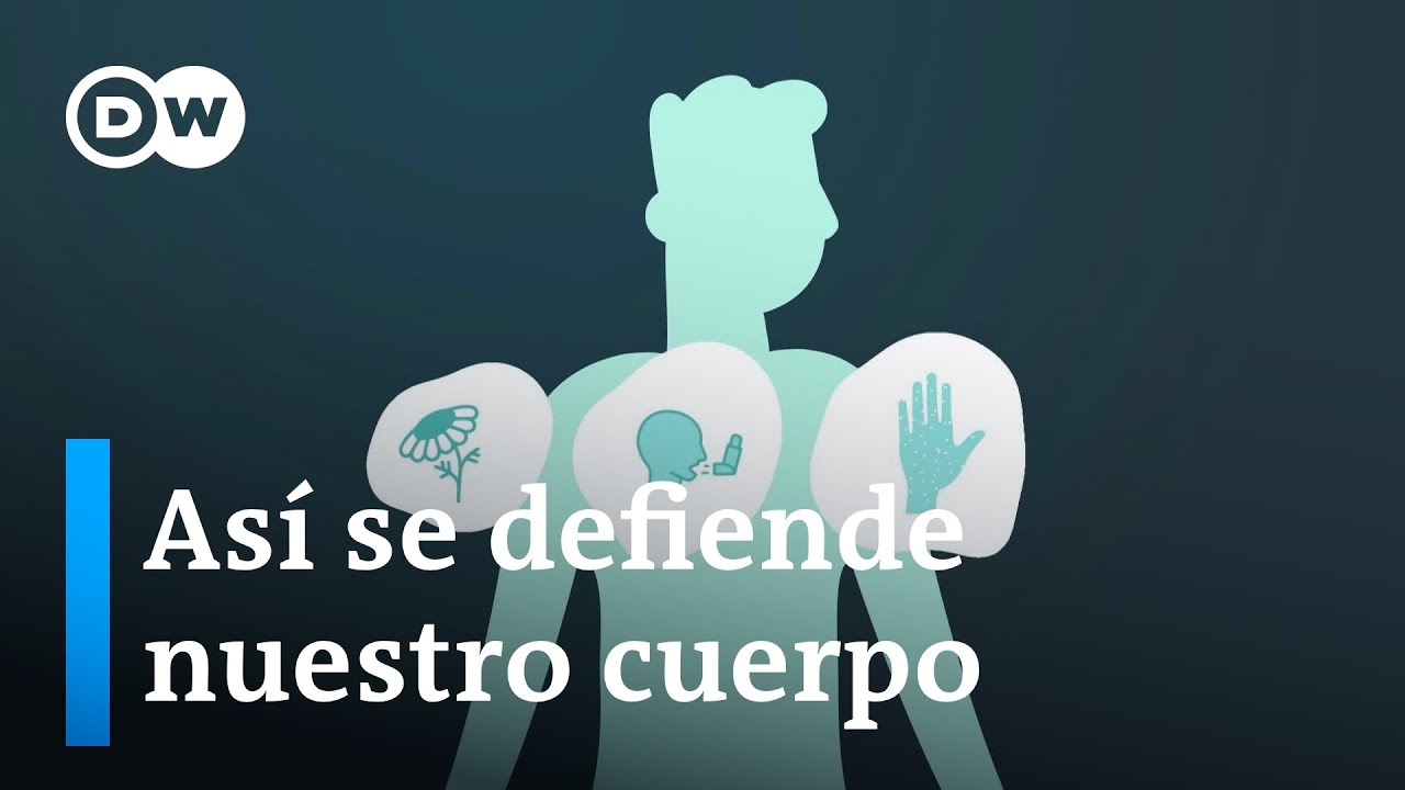 cuales son los órganos del sistema inmunológico