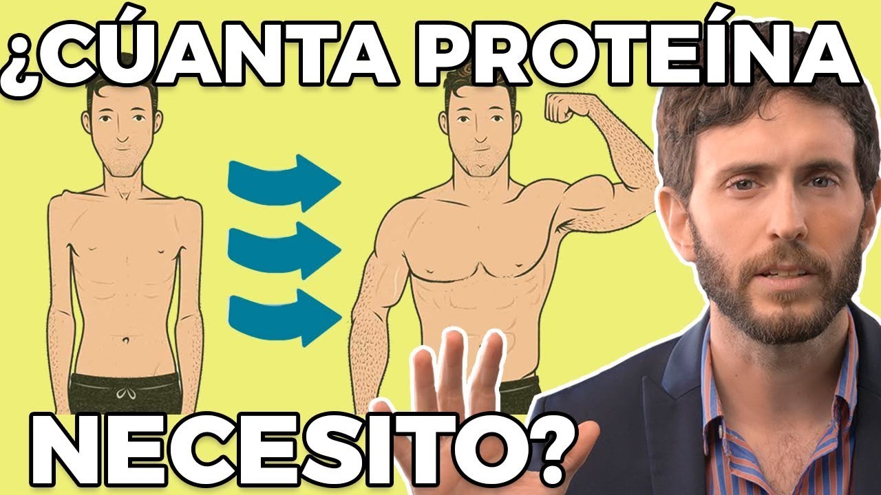 de donde toman las celulas las proteinas para crecer