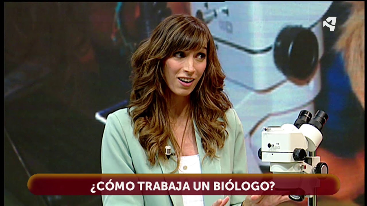 describan que hacen los biólogos de las imágenes