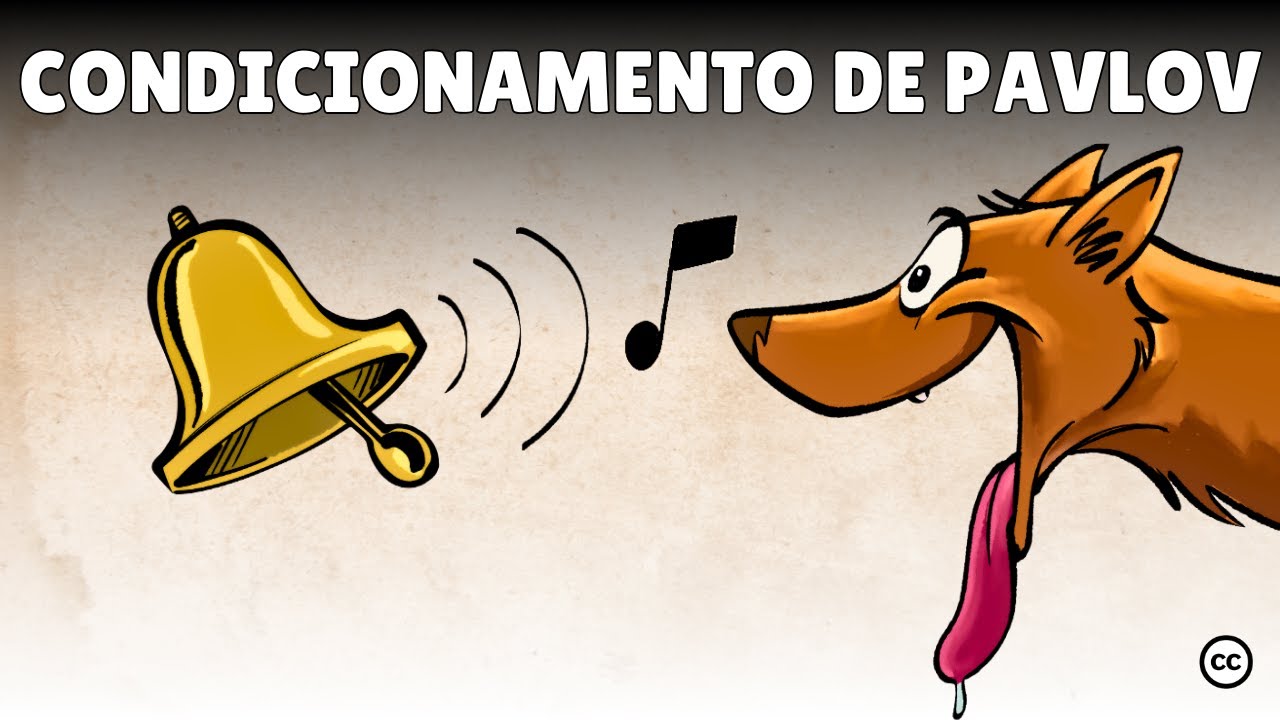 fases del modelo clasico de experimento