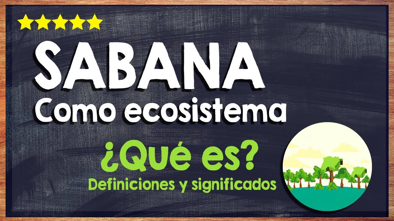 identifica dos características de la sabana.