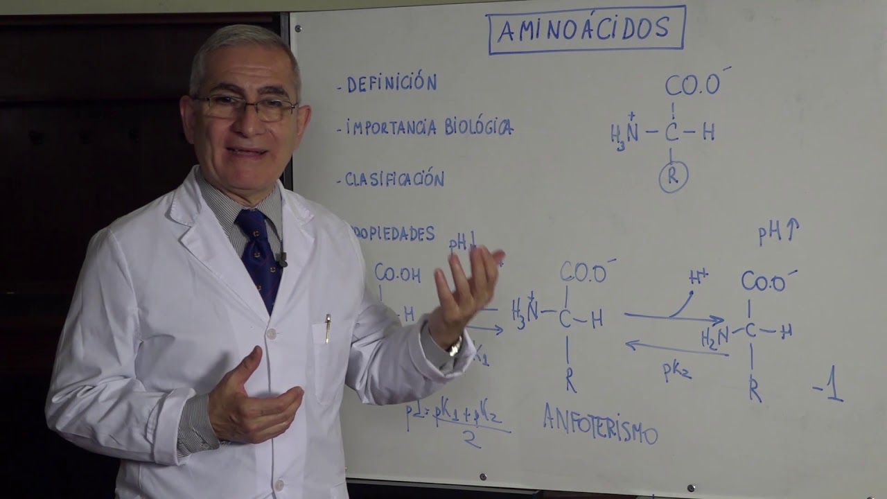 importancia biologica de los aminoacidos