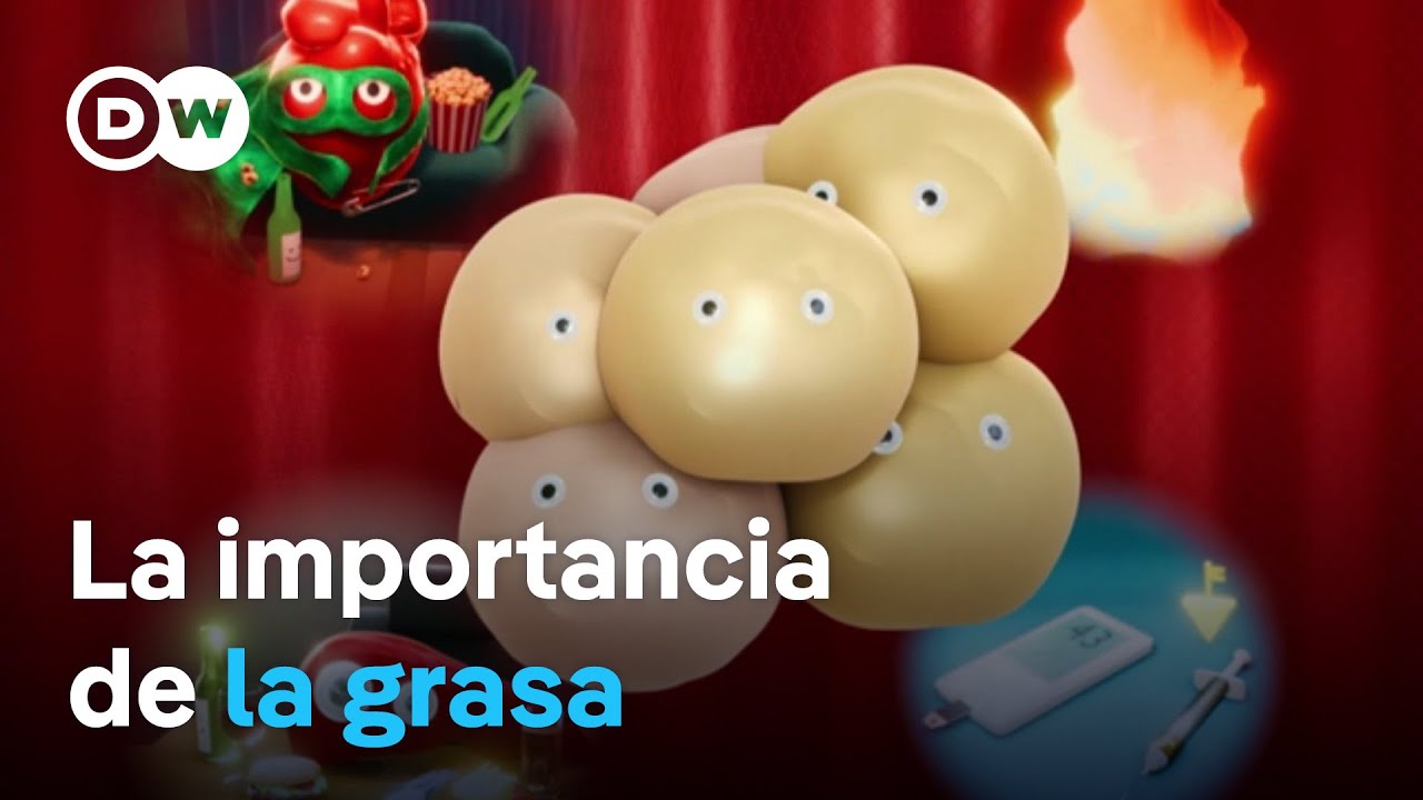 importancia de las grasas en el cuerpo humano