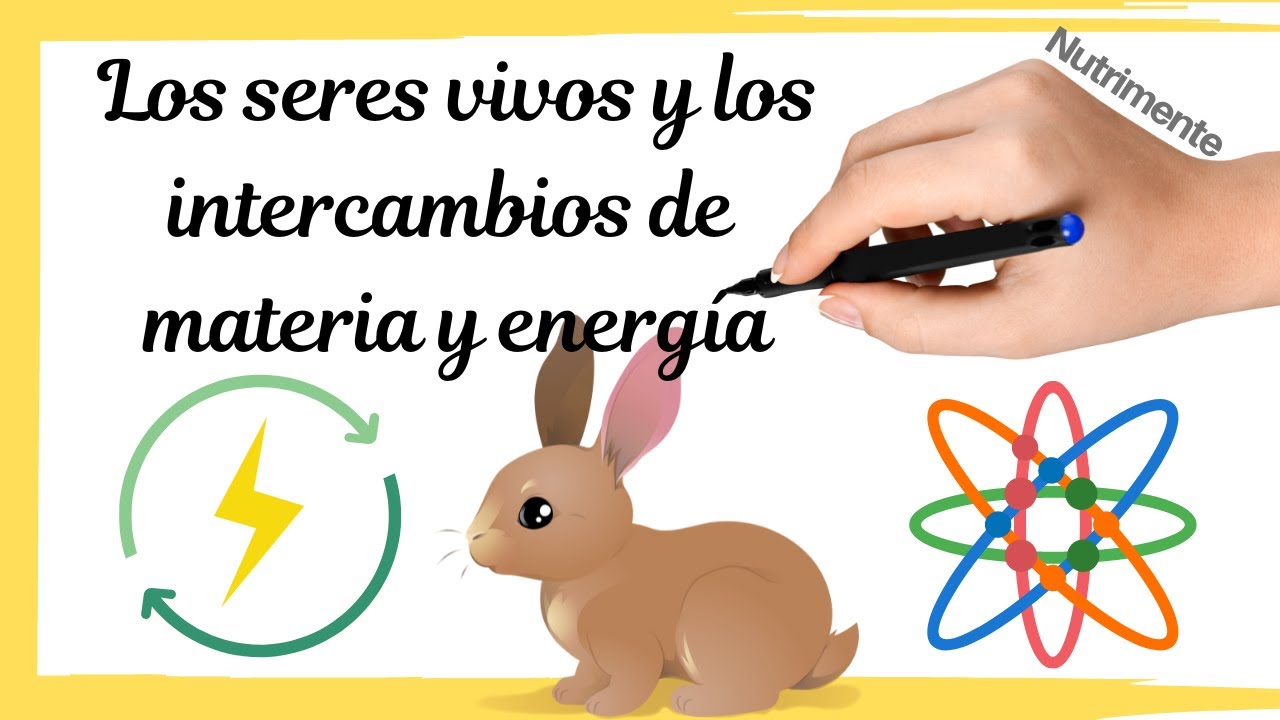 intercambio de materia y energía entre los organismos y el medio abiótico