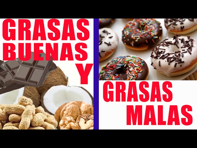 las grasas malas se dividen en dos tipos los cuáles son