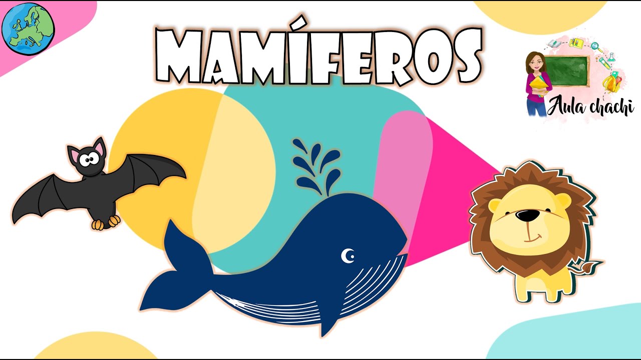 mamíferos clasificaciones inferiores