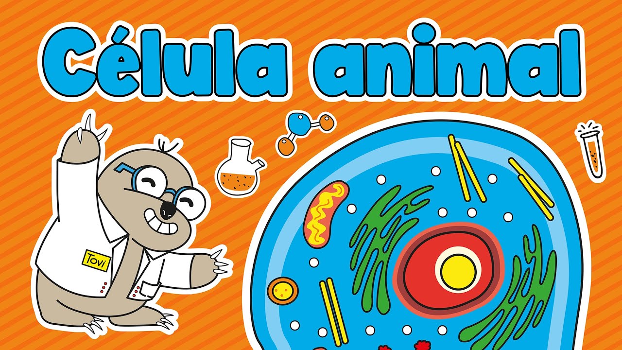 membrana celular de la celula animal