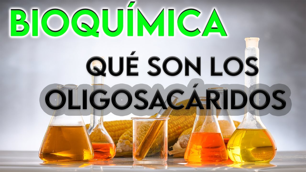 oligosacáridos donde se encuentran