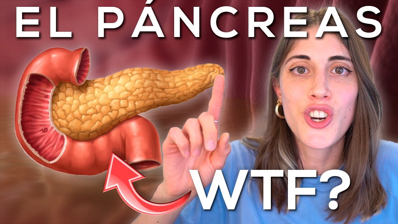 pancreas ubicacion en el cuerpo humano