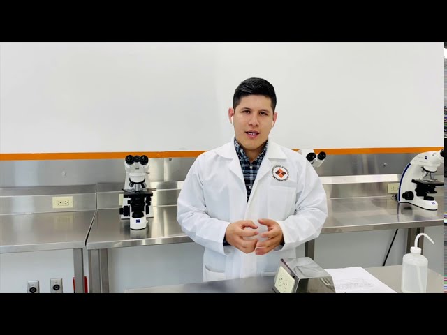 practica de laboratorio de biologia celulas eucariotas y procariotas