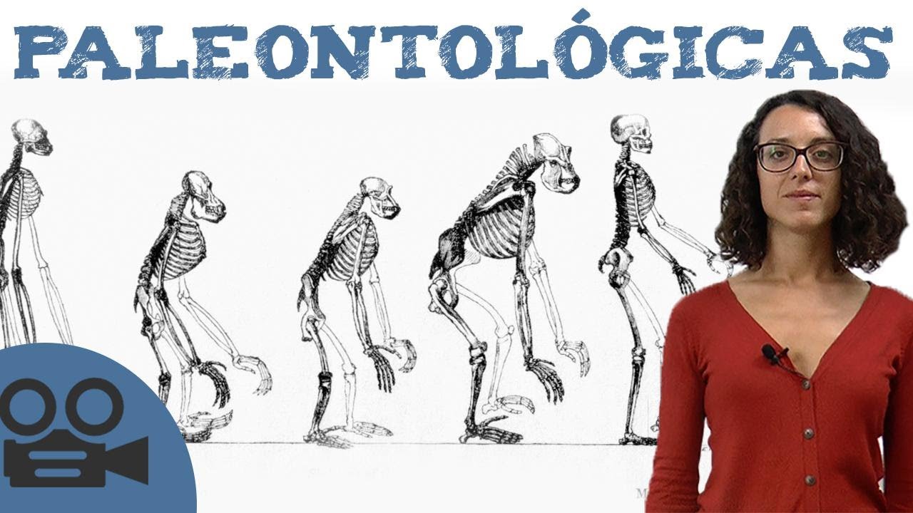 pruebas de la evolucion bioquimicas