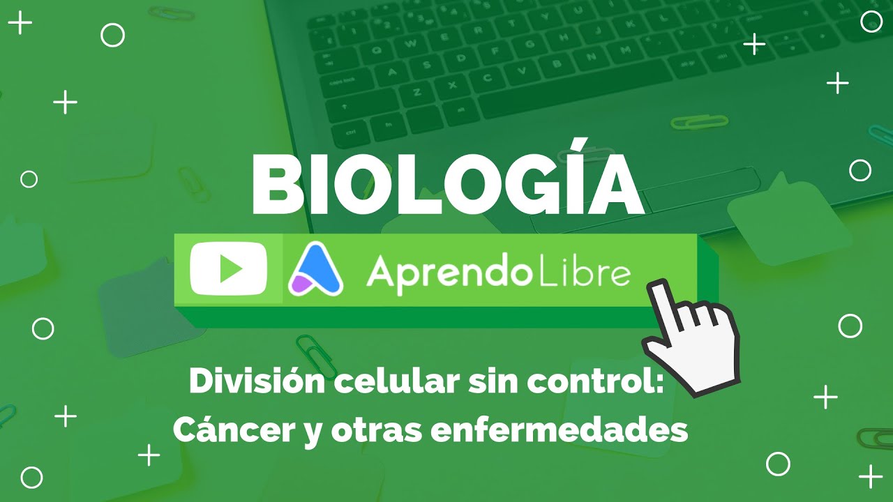 que es la división celular sin control