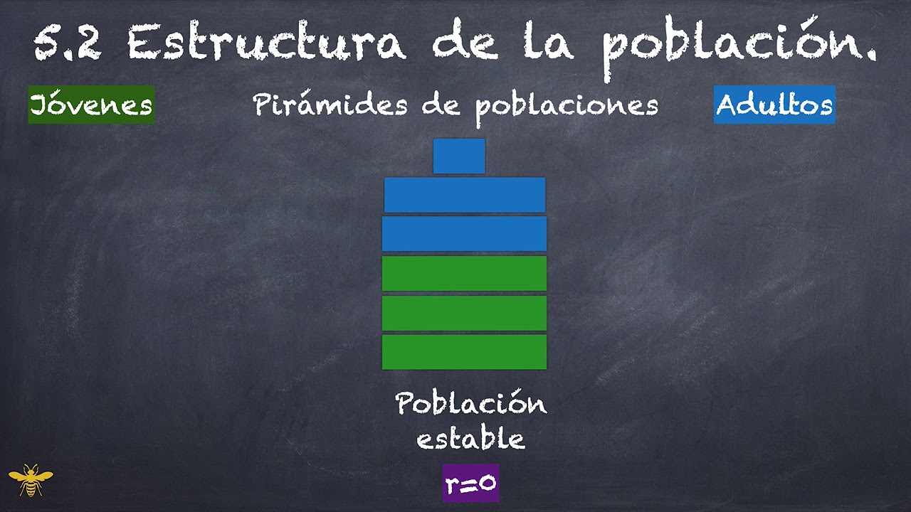 que es la estructura de la poblacion