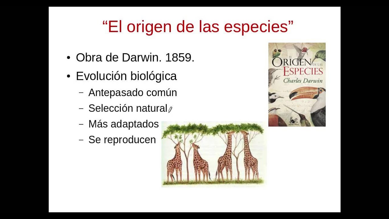 que evidencias empleo darwin para postular su teoria