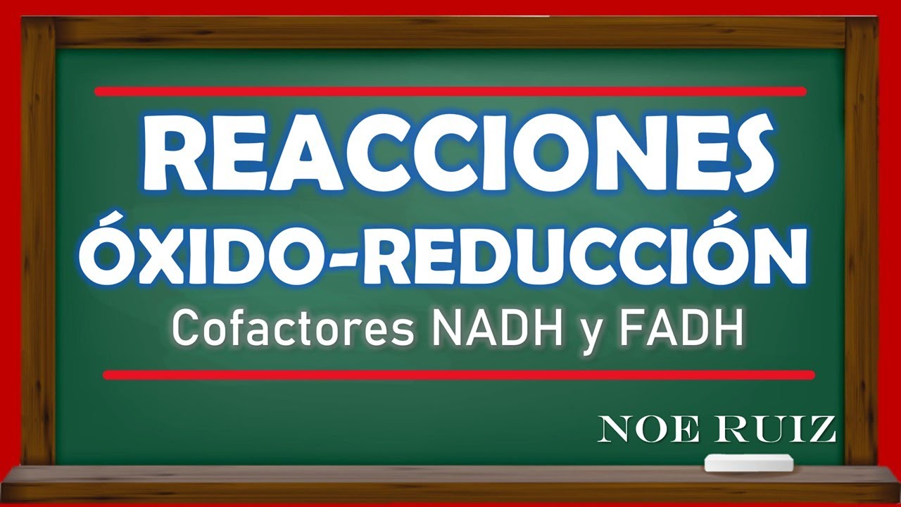 reacciones biologicas de oxido reduccion